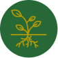 agro-icon7